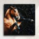 peintre animalier contemporain, art équestre portrait cheval tableau meilleur artiste animalier, commande de portrait animalier d'après photos, peinture et pastel
