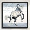 Tableau à la peinture à l'huile, 100x100cm, portrait d'un cheval espagnol gris en liberté, avec un fond gris et blanc, avec des motifs graphiques, par l'artiste peintre équin et animalier, skyzune art