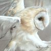 Art animalier : zoom sur le tableau ELAPHROS, une chouette effraie, réalisé avec la technique du pastel sec, avec un fond moderne et graphique. Meilleur artiste pastelliste animalier.