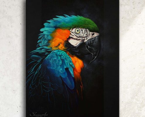 Art animalier : tableau RAINBOW FEATHERS, avec un ara bleu, réalisé avec la technique de la peinture acrylique, sur fond noir moderne et graphique. Meilleur artiste peintre animalier. Art de luxe