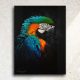 Art animalier : tableau RAINBOW FEATHERS, avec un ara bleu, réalisé avec la technique de la peinture acrylique, sur fond noir moderne et graphique. Meilleur artiste peintre animalier. Art de luxe