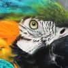 dessin oiseau, tableau perroquet par SKYZUNE ART, artiste peintre équin et animalier, art de luxe, meilleur artiste animalier