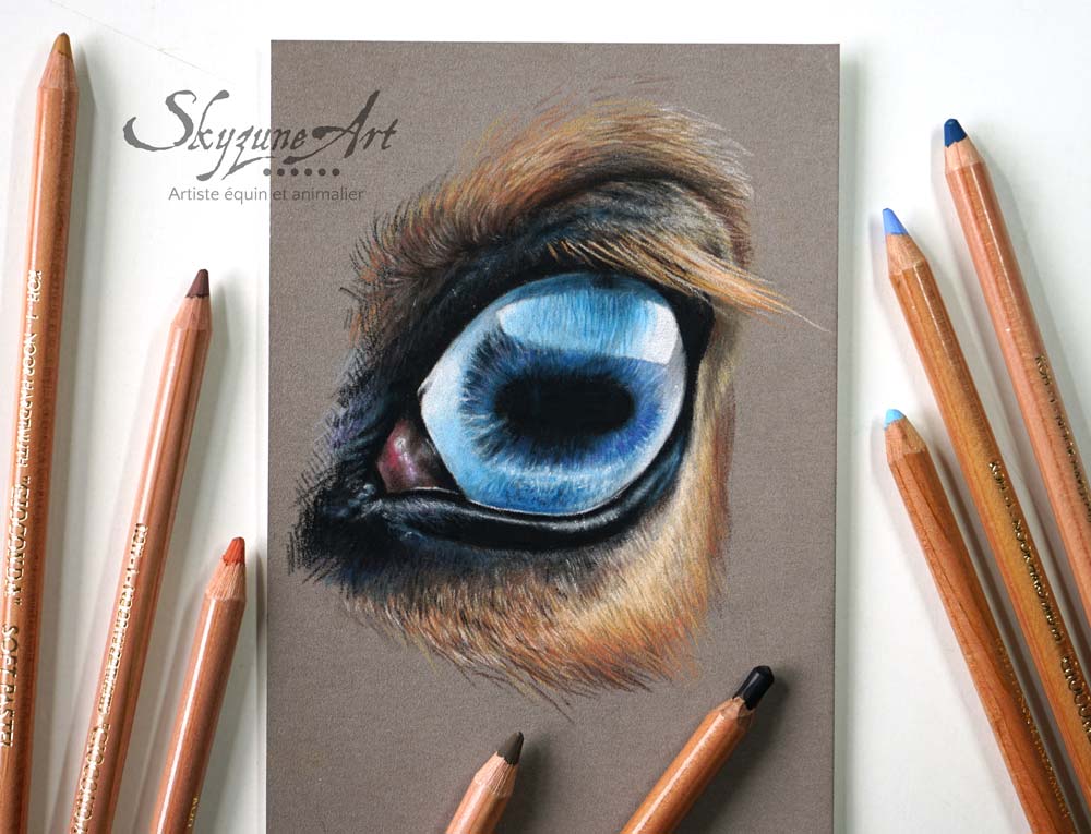test de crayon pastel de la marque Koh I noor par l'artiste peintre animalier, Skyzune ART