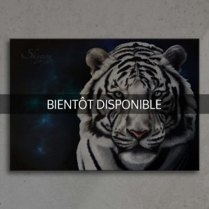 Skyzune Art Artiste Animalier Commande Original Peinture Pastel