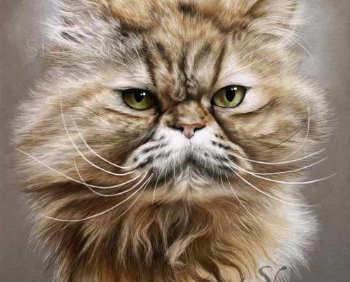 Galerie Artiste Animalier Skyzune Art Peinture Et Pastel
