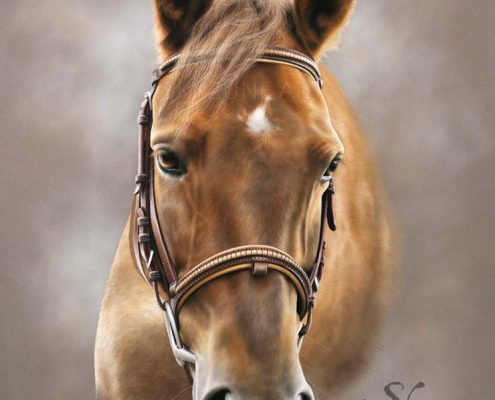 portrait dessiné d'un cheval réalisé au pastel sec. Commande de tableau personnalisé d'après photos réalisé par Skyzune ART, artiste animalier