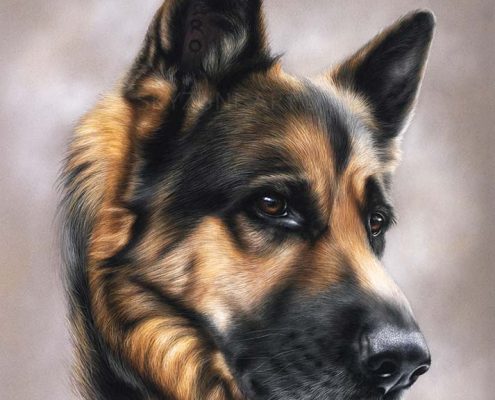 Portrait dessiné d'un chien réalisé au pastel sec. Commande de tableau personnalisé d'après photos par skyzune art, artiste animalier