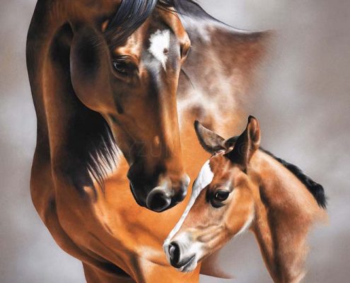 portrait dessiné d'un cheval réalisé au pastel sec. Commande de tableau personnalisé d'après photos réalisé par Skyzune ART, artiste animalier
