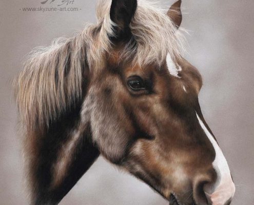 portrait dessiné d'un cheval réalisé au pastel sec. Commande de tableau personnalisé d'après photos
