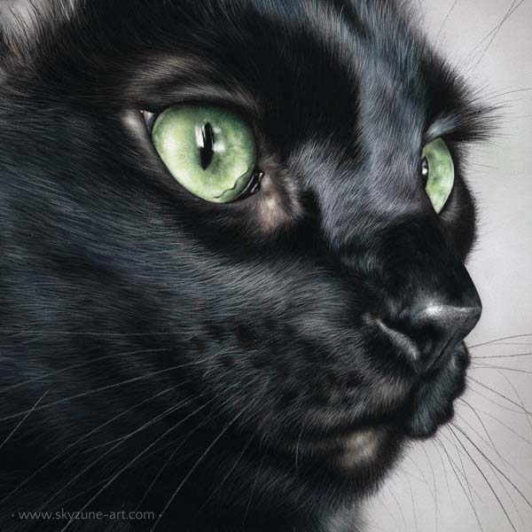 portrait réaliste dessiné d'un chat réalisé au pastel sec. Commande de tableau personnalisé d'après photos réalisé par Skyzune ART, artiste peintre animalier