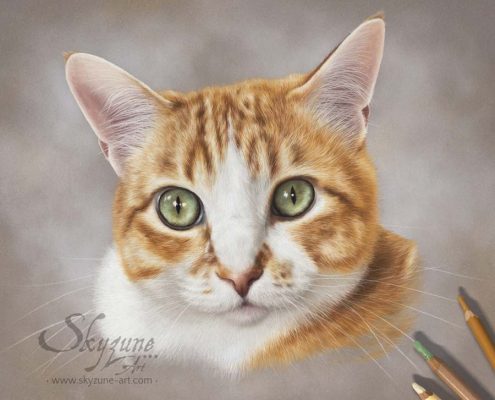 portrait dessiné d'un chat réalisé au pastel sec. Commande de tableau personnalisé d'après photos réalisé par Skyzune ART, artiste animalier