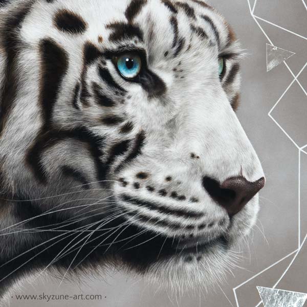 portrait réaliste dessiné d'un tigre blanc réalisé au pastel sec. oeuvre d'art, tableau originaux, Commande de tableau personnalisé d'après photos réalisé par Skyzune ART, artiste peintre animalier